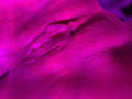NamyMiller - Live porn &amp; sex cam - 27799322