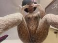 KarlaRicochet - Live porn &amp; sex cam - 30580193