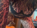 Euphorias' black lace panties are visible through their lace-patterned fishnet stockings, showing a partial view of their pussy and crotch. The image focuses on her lower body.