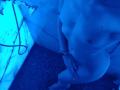 Keryy - Live sexe cam - 16255990