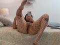 MadisonDarkk - Live porn &amp; sex cam - 26865029
